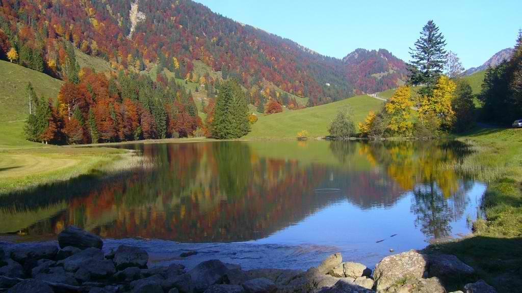 Ferienhuette Kaelberweide Daire Hittisau Dış mekan fotoğraf