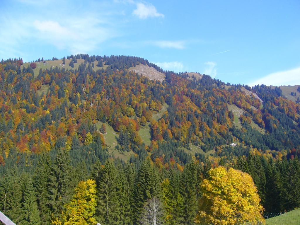 Ferienhuette Kaelberweide Daire Hittisau Dış mekan fotoğraf